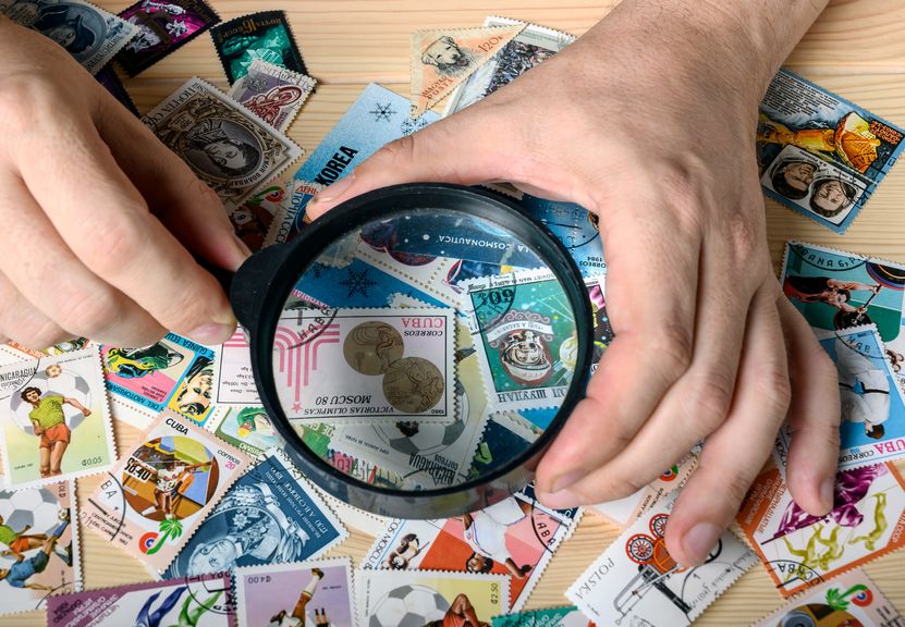 stamp collecting studying their stamps