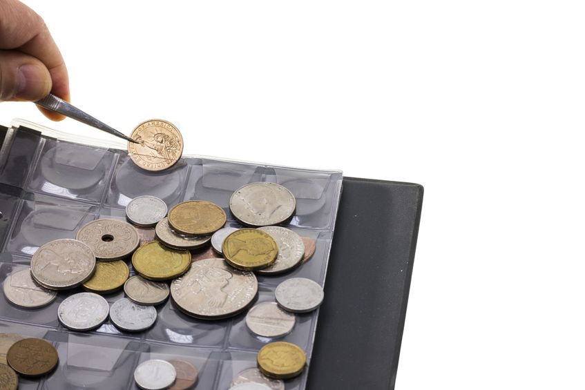 coin collector exampining coins